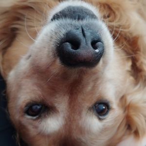 Meet your Posher, Katy